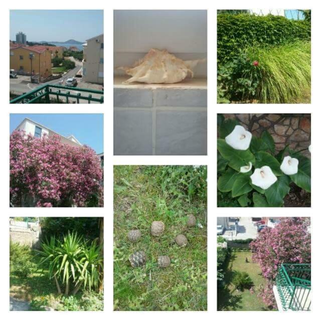 Apartman "Rosa" โวดีเซ ภายนอก รูปภาพ